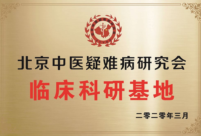 北京中医疑难病研究会