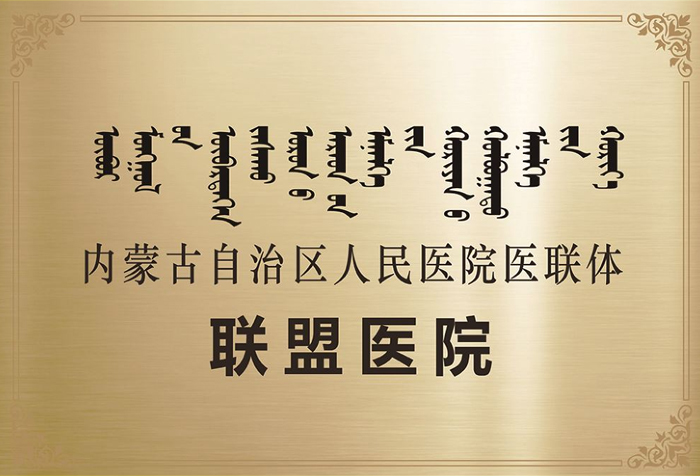 人民医院医联体联盟医院